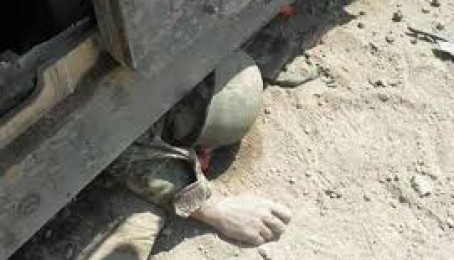 هلمند: لشکرګاه کې ۲۳ ګوډاګیان قتل۱۳ نورژوبل شوي