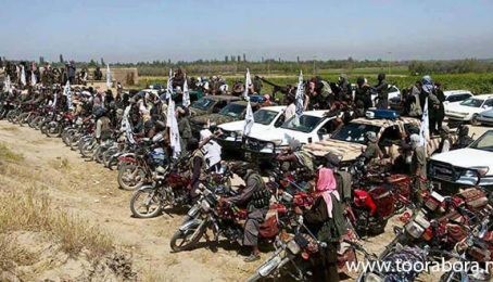 د جنوبي ولایاتو د حلقې له مسؤل مولوي رحیم الله صاحب سره مرکه